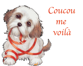coucou me voil